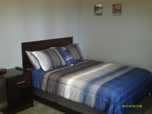 Pine Tree Inn image 15