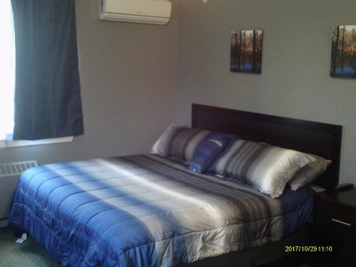 Pine Tree Inn image 22