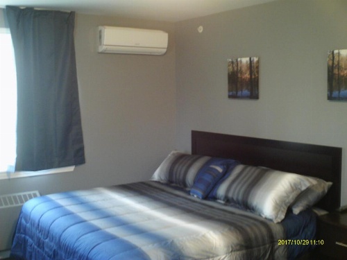 Pine Tree Inn image 23