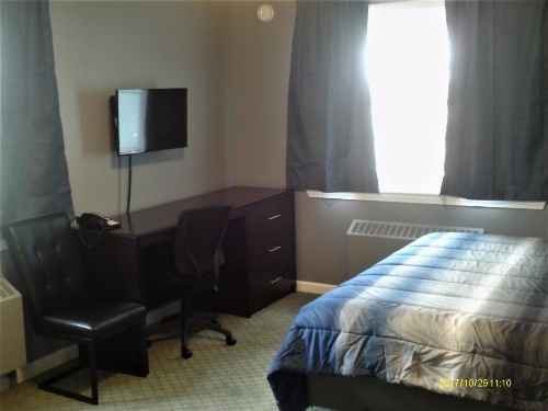 Pine Tree Inn image 24