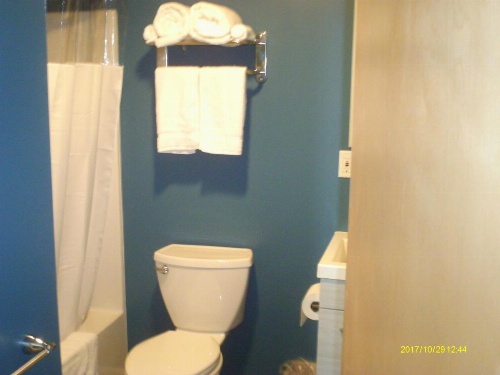 Pine Tree Inn image 27