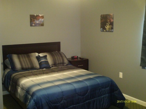 Pine Tree Inn image 31