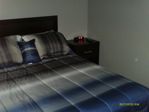 Pine Tree Inn image 32