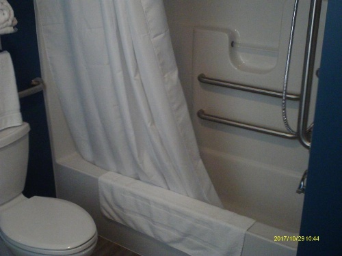 Pine Tree Inn image 38