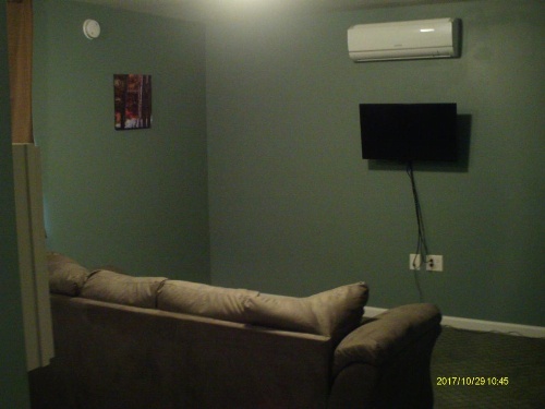 Pine Tree Inn image 40