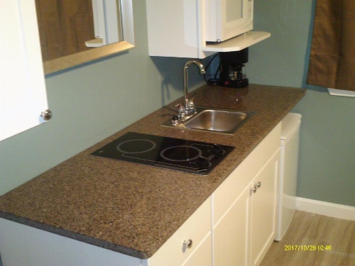 Pine Tree Inn image 42