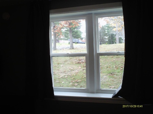 Pine Tree Inn image 6